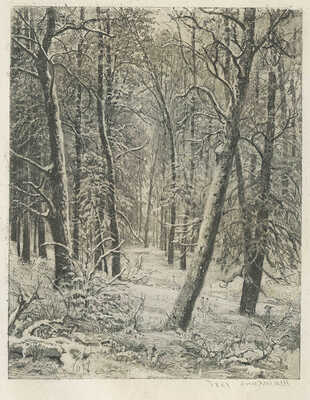 Шишкин Иван Иванович. Зима